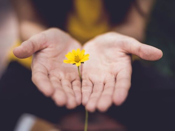 Service with Joy - Mahatma Ghandi EN