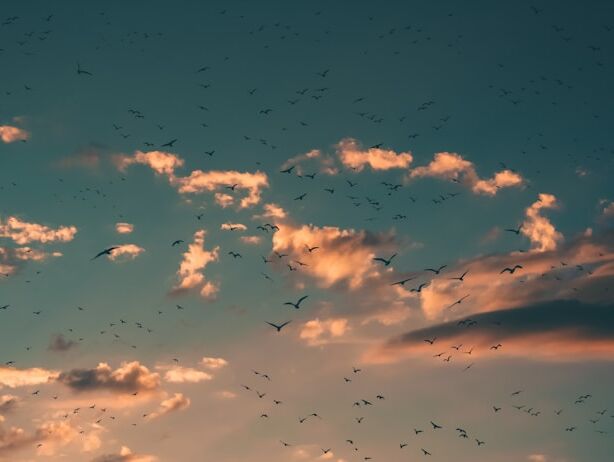 Love - Khalil Gibran - EN