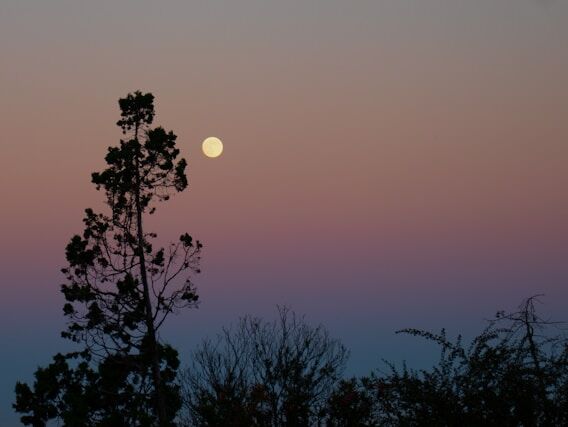 Remembering - Marianne Williamson - EN